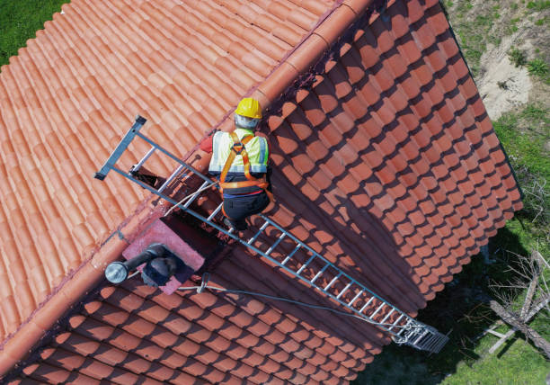 Best Asphalt Shingle Roofing  in Wautoma, WI